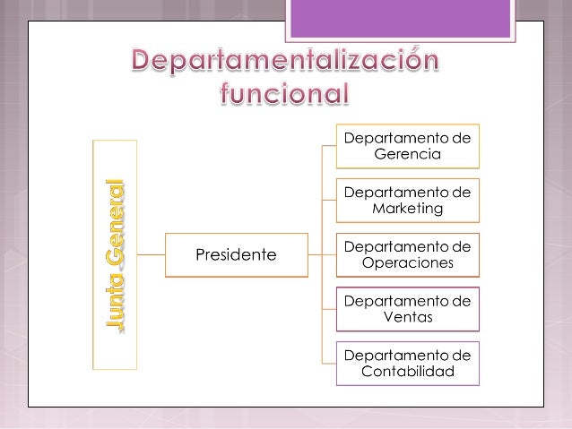 Tipos de departamentalizacion
