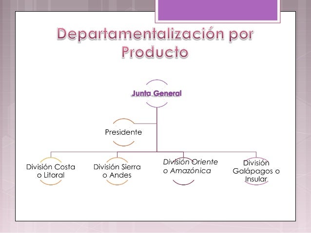 Tipos de departamentalizacion