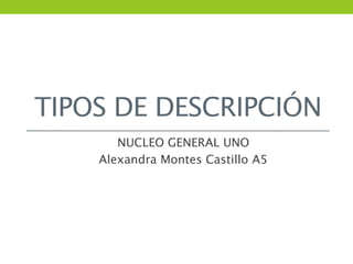 TIPOS DE DESCRIPCIÓN
       NUCLEO GENERAL UNO
    Alexandra Montes Castillo A5
 