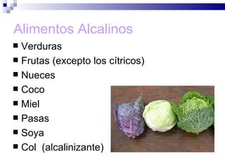 Alimentos Alcalinos
 Verduras
 Frutas (excepto los cítricos)
 Nueces
 Coco
 Miel
 Pasas
 Soya
 Col (alcalinizante)
 