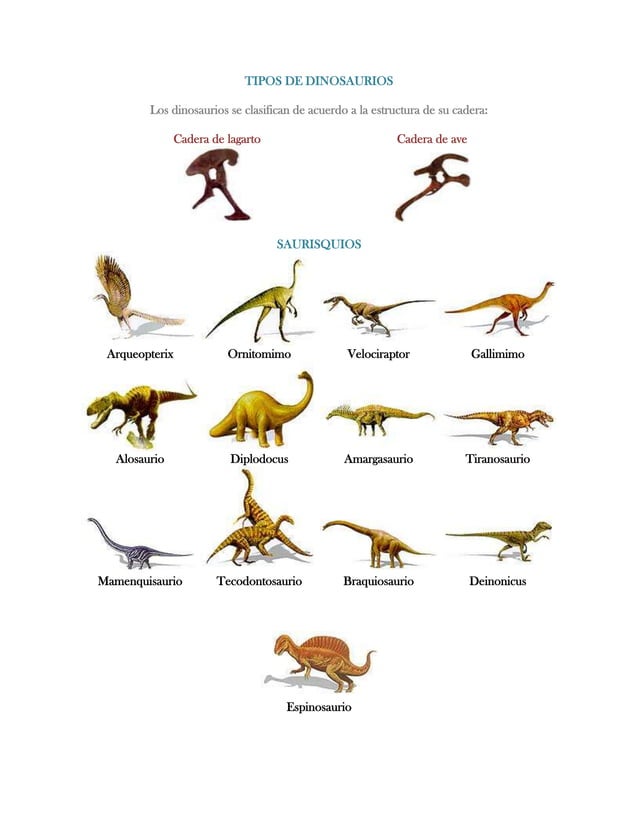 Top 152+ Tipos de dinosaurios nombres e imagenes 