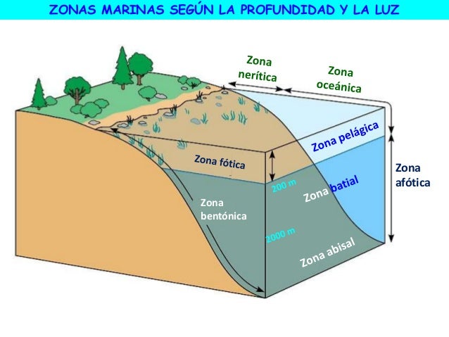 Tipos de ecosistemas