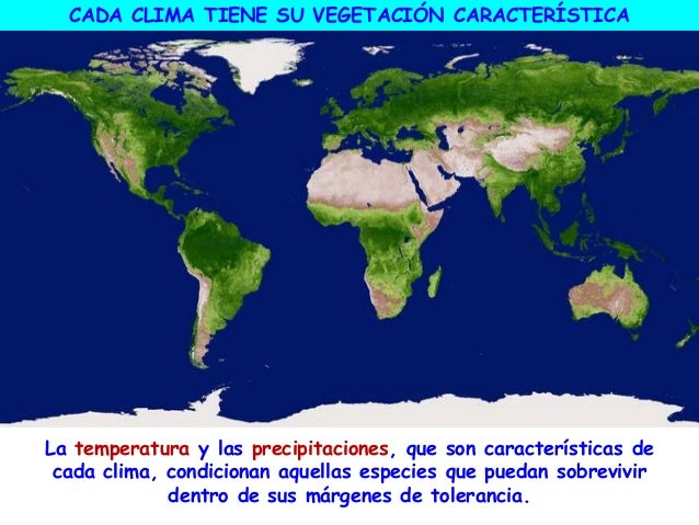 Tipos de ecosistemas