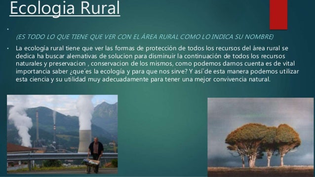 Tipos de ecologia