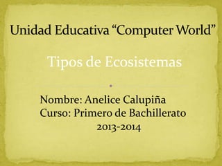 Tipos de Ecosistemas
Nombre: Anelice Calupiña
Curso: Primero de Bachillerato
2013-2014

 