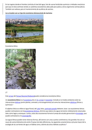 En los lugares donde el hombre controla el nivel del agua, han de usarse herbicidas químicos o métodos mecánicos
para que el área continúe siendo un auténtico ecosistemas adecuado para patos y otros organismos semiacuáticos.
También son valiosos para el mantenimiento de acuíferos de vecinos.
Los arrozales son un tipo de ecosistema dulceacuícola de marisma.
Ecosistema lótico
Este arroyo del Parque Nacional Redwoodpuede considerarse ecosistema lótico.
Un ecosistema lótico es el ecosistema de un río, arroyo o manantial. Incluido en el medio ambiente están las
interacciones bióticas (entre plantas, animales y microorganismos) así como las interacciones abióticas (físicas y
químicas).1
El adjetivo lótico se refiere al agua fluvial, del Latín lotus, participio pasado delavere, lavar. Los ecosistemas lóticos
pueden contrastarse con losecosistemas lénticos, término que abarca las aguas terrestres relativamente estancadas
tales como lagos y estanques. Juntos, estos dos ecosistemas formal el campo de estudio general de la limnología, que
puede contrastarse a la oceanografía.
Las aguas lóticas pueden tener diversas formas, del venero con unos cuantos centímetros a los grandes ríos con un
cauce de varios kilómetros de ancho.2
A pesar de tales diferencias, las siguientes características comunes hacen de la
ecología de las corrientes de agua un hábitat único, distinto de otros hábitats acuáticos:3
 