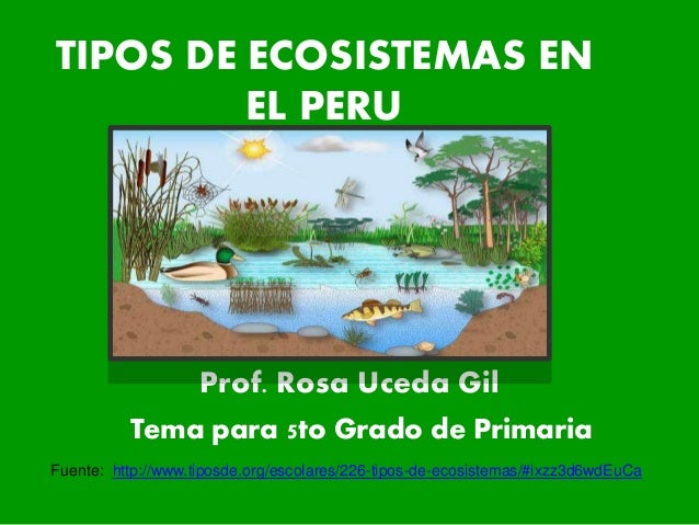 tipos de ecosistemas en el peru 5to primaria tipos de ecosistemas en el peru 5to primaria