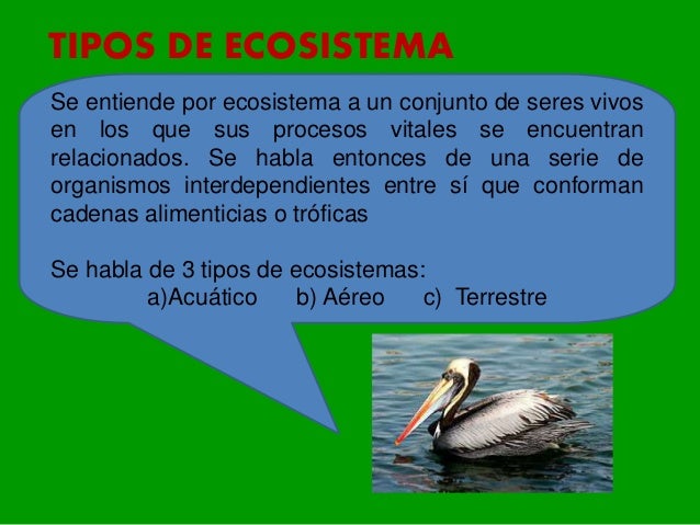 tipos de ecosistemas en el peru 5to primaria tipos de ecosistemas en el peru 5to primaria