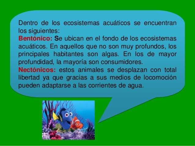 tipos de ecosistemas en el peru 5to primaria tipos de ecosistemas en el peru 5to primaria