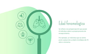 Edad fenomelogica
Se refiere a la autopercepción que posee
el individuo sobre su propio proceso de
envejecimiento.
Por ejemplo, un individuo que se siente
joven a pesar de su edad cronológica de 70
años o viceversa.
 