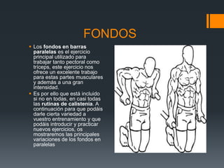 Tipos de barras ejercicios sale