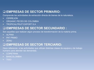  EMPRESAS DE SECTOR PRIMARIO:
Comprende las actividades de extracción directa de bienes de la naturaleza.
 CERREJON
 ORGANIC PECES DE COLOMBIA
 TROPICALFRUIT EXPORT S.A

 EMPRESAS DE SECTOR SECUNDARIO :
Son aquellas que realizan algún proceso de transformación de la materia prima.
 ALPINA
 PAT PRIMO
 ZENU

 EMPRESAS DE SECTOR TERCIARIO:
Hace referencia a las actividades que utilizan distintas clases de equipos y de trabajo
humano para atender las demandas.
 COPETRAN
 BANCOLOMBIA
 TIGO
 