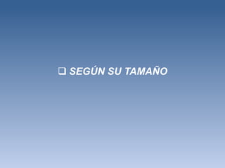  SEGÚN SU TAMAÑO
 