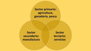 Sector primario:
agricultura,
ganadería, pesca
Sector
terciario:
servicios
Sector
secundario:
manufactura
 