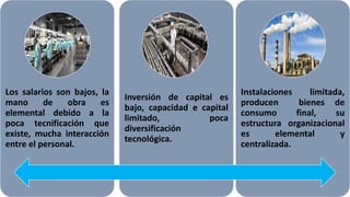Los salarios son bajos, la
mano de obra es
elemental debido a la
poca tecnificación que
existe, mucha interacción
entre el personal.
Inversión de capital es
bajo, capacidad e capital
limitado, poca
diversificación
tecnológica.
Instalaciones limitada,
producen bienes de
consumo final, su
estructura organizacional
es elemental y
centralizada.
 