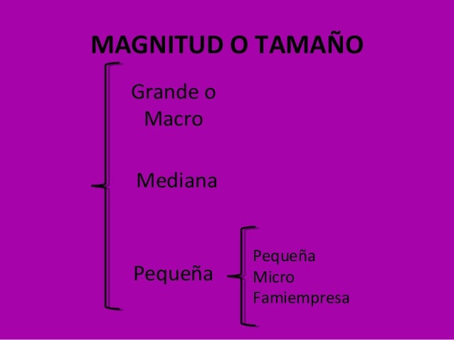 Tipos de empresas y organizaciones