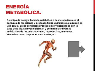 ENERGÍA
METABÓLICA.
Este tipo de energía llamada metabólica o de metabolismo es el
conjunto de reacciones y procesos físico-químicos que ocurren en
una célula. Estos complejos procesos interrelacionados son la
base de la vida a nivel molecular, y permiten las diversas
actividades de las células: crecer, reproducirse, mantener
sus estructuras, responder a estímulos, etc.
 
