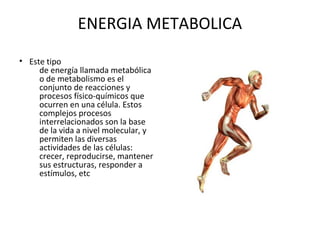 ENERGIA METABOLICA
• Este tipo
de energía llamada metabólica
o de metabolismo es el
conjunto de reacciones y
procesos físico-químicos que
ocurren en una célula. Estos
complejos procesos
interrelacionados son la base
de la vida a nivel molecular, y
permiten las diversas
actividades de las células:
crecer, reproducirse, mantener
sus estructuras, responder a
estímulos, etc
 