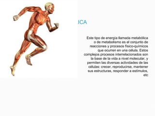 ENERGIA METABOLICA
Este tipo de energía llamada metabólica
o de metabolismo es el conjunto de
reacciones y procesos físico-químicos
que ocurren en una célula. Estos
complejos procesos interrelacionados son
la base de la vida a nivel molecular, y
permiten las diversas actividades de las
células: crecer, reproducirse, mantener
sus estructuras, responder a estímulos,
etc
 