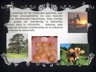 Energía química 
Es la contenida en las moléculas químicas, que 
se forman principalmente en una reacción 
química denominada fotosíntesis. Esta energia 
luego puede ser transferida a diferentes 
cuerpos, para su utilización. Ademas, esta 
energia es utilizada ampliamente en la industria 
y es fuente de desarrollo. 
 