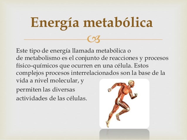 Error más grande con acelerador del metabolismo