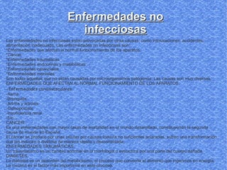 Enfermedades no
                                  infecciosas
Las enfermedades no infecciosas estan provocadas por otras causas, como intoxicaciones, accidentes,
alimentación inadecuada. Las enfermedades no infecciosas son:
*Enfermedades que afectan al normal funcionamiento de los aparatos.
*Cáncer
*Enfermedades traumáticas
*Enfermedades endocrinas y matabólicas
*Enfermedades carenciales
*Enfermedades mentales
Son todas aquellas que no están causadas por microorganismos patógenos. Las causas son muy diversas.
ENFERMEDADES QUE AFECTAN AL NORMAL FUNCIONAMIENTO DE LOS APARATOS:
-Enfermedades cardiovasculares
-Asma
-Bronquitis
-Artritis y artrosis
-Osteoporosis
-Insuficiencia renal
-Etc...
CANCER:
Es una enfermedades con mayor tasas de mortalidad en el mundo desarollado, constituyendo la segunda
causa de muerte en España.
El cáncer se produce por unas células por causas todavía no suficientes aclaradas, sufren una transformación
que las inducen a dividirse de manera rápida y descontrolada.
ENFERMEDADES TRAUMÁTICAS:
Un trausmatismo es un cambio anormal en la morfologia o estructura por una parte del cuerpo dañada.
DIABETES:
La diabetes es un desorden del metabolismo, el proceso que convierte el alimento que ingerimos en energía.
La insulina es el factor más importante en este proceso.
 