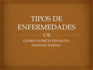 GLORIA PATRICIA PEÑALOZA
SANIDAD ANIMAL
 