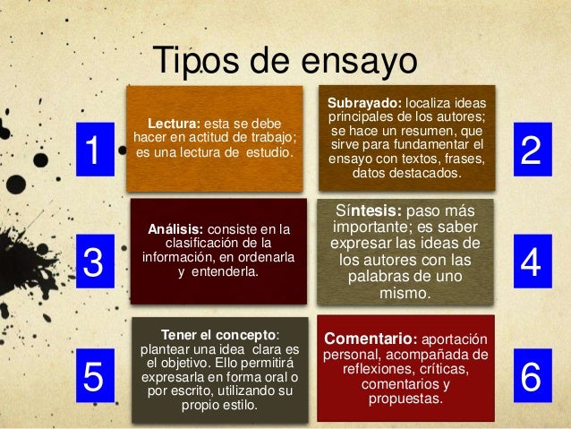 Tipos de ensayo final