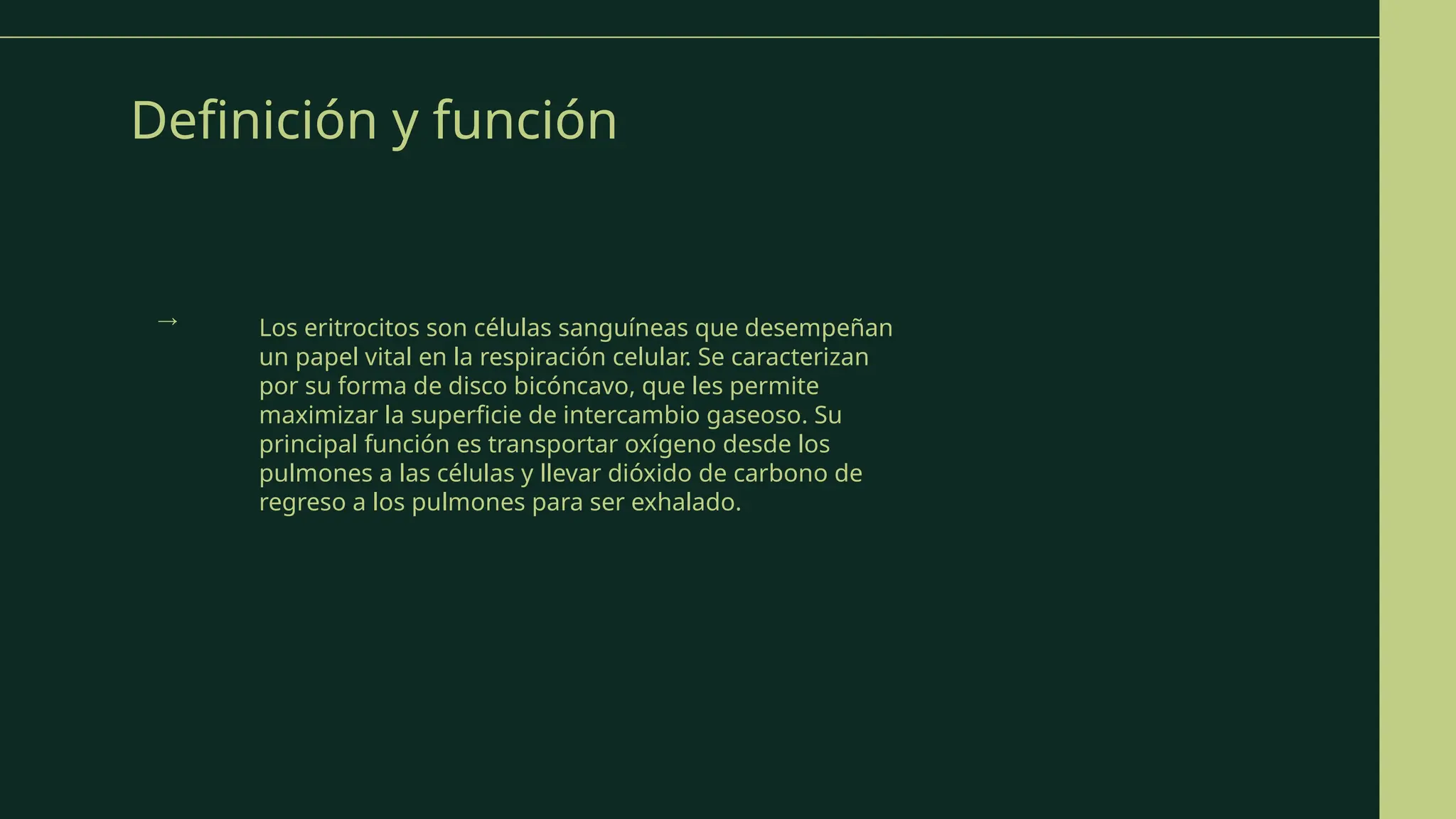Definición y función
Los eritrocitos son células sanguíneas que desempeñan
un papel vital en la respiración celular. Se caracterizan
por su forma de disco bicóncavo, que les permite
maximizar la superficie de intercambio gaseoso. Su
principal función es transportar oxígeno desde los
pulmones a las células y llevar dióxido de carbono de
regreso a los pulmones para ser exhalado.
→
 