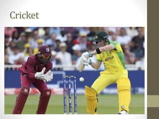 Cricket
 