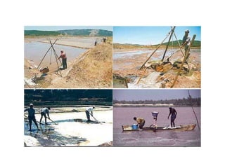 Tipos de explotación de superficie