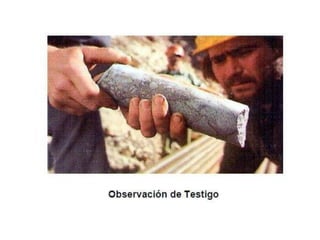 Tipos de explotación de superficie