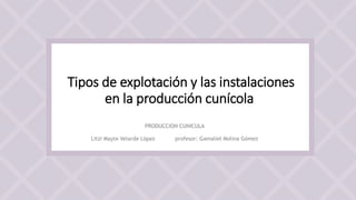 Tipos de explotación y las instalaciones
en la producción cunícola
PRODUCCION CUNICULA
Litzi Mayte Velarde López profesor: Gamaliel Molina Gómez
 