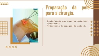 Preparação da pele
para a cirurgia.
Desinfecção por agentes químicos
(povidini)
Tricotomia (raspagem de pelos).
 