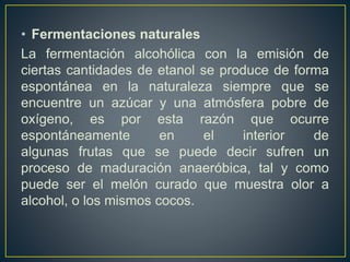 • Fermentaciones naturales
La fermentación alcohólica con la emisión de
ciertas cantidades de etanol se produce de forma
espontánea en la naturaleza siempre que se
encuentre un azúcar y una atmósfera pobre de
oxígeno, es por esta razón que ocurre
espontáneamente en el interior de
algunas frutas que se puede decir sufren un
proceso de maduración anaeróbica, tal y como
puede ser el melón curado que muestra olor a
alcohol, o los mismos cocos.
 