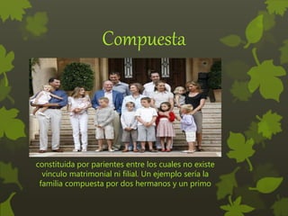 Compuesta
constituida por parientes entre los cuales no existe
vínculo matrimonial ni filial. Un ejemplo sería la
familia compuesta por dos hermanos y un primo
 