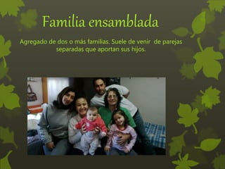 Familia ensamblada
Agregado de dos o más familias. Suele de venir de parejas
separadas que aportan sus hijos.
 