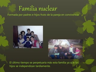 Familia nuclear
Formada por padres e hijos fruto de la pareja en convivencia
El último tiempo se perpetuaría más esta familia ya que los
hijos se independizan tardíamente.
 