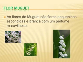 Flor MuguetAs flores de Muguet são flores pequeninas, escondidas e branca com um perfume maravilhoso.