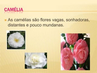 CaméliaAs camélias são flores vagas, sonhadoras, distantes e pouco mundanas.