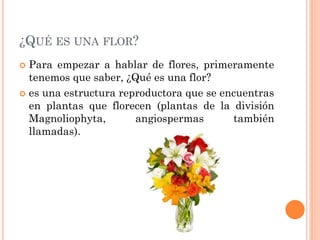 Tipos de flores | PDF
