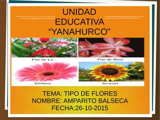 UNIDAD
EDUCATIVA
“YANAHURCO”
TEMA: TIPO DE FLORES
NOMBRE: AMPARITO BALSECA
FECHA:26-10-2015
 