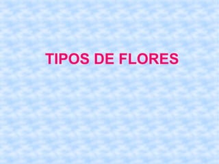 TIPOS DE FLORES
 