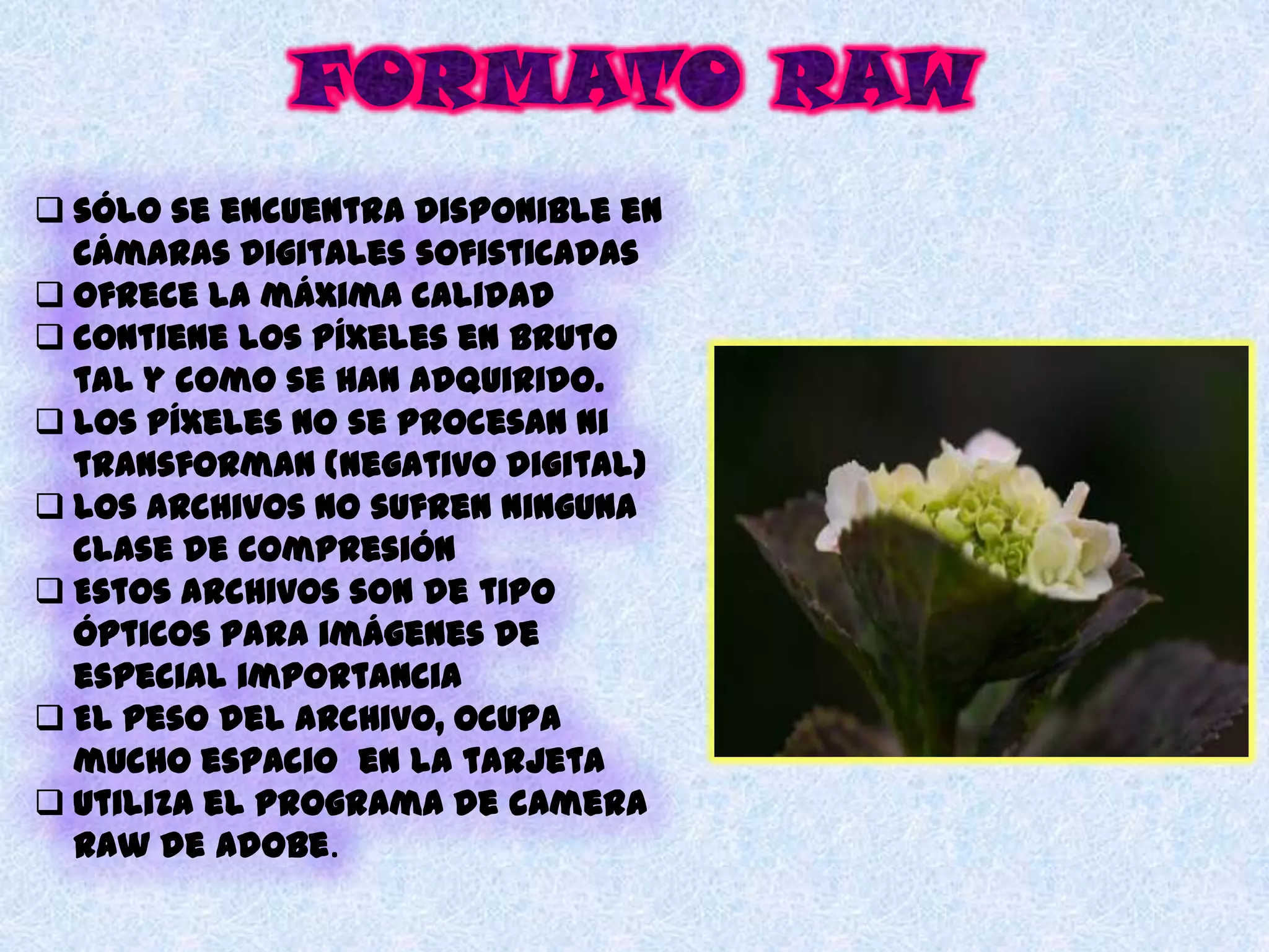  sólo se encuentra disponible en
  cámaras digitales sofisticadas
 ofrece la máxima calidad
 contiene los píxeles en bruto
  tal y como se han adquirido.
 los píxeles no se procesan ni
  transforman (negativo digital)
 Los archivos no sufren ninguna
  clase de compresión
 Estos archivos son de tipo
  ópticos para imágenes de
  especial importancia
 El peso del archivo, ocupa
  mucho espacio en la tarjeta
 Utiliza el programa de camera
  Raw de Adobe.
 