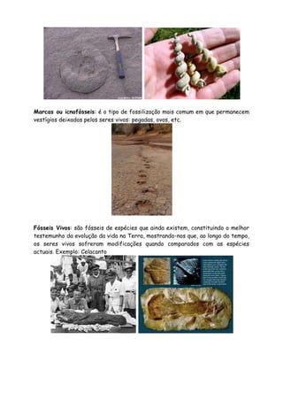 Tipos de fossilização