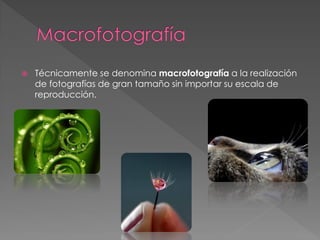  Técnicamente se denomina macrofotografía a la realización
de fotografías de gran tamaño sin importar su escala de
reproducción.
 