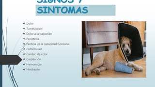 SIGNOS Y
SINTOMAS
 Dolor
 Tumefacción
 Dolor a la palpación
 Parestesia
 Perdida de la capacidad funcional
 Deformidad
 Cambio de color
 Crepitación
 Hemorragia
 Hinchazón
 