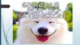 Tipos de Fracturas Oseas.pptx