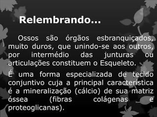 Relembrando...
Ossos são órgãos esbranquiçados,
muito duros, que unindo-se aos outros,
por intermédio das junturas ou
articulações constituem o Esqueleto.
É uma forma especializada de tecido
conjuntivo cuja a principal característica
é a mineralização (cálcio) de sua matriz
óssea (fibras colágenas e
proteoglicanas).
 