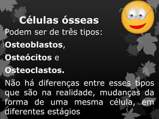 Células ósseas
Podem ser de três tipos:
Osteoblastos,
Osteócitos e
Osteoclastos.
Não há diferenças entre esses tipos
que são na realidade, mudanças da
forma de uma mesma célula, em
diferentes estágios
 